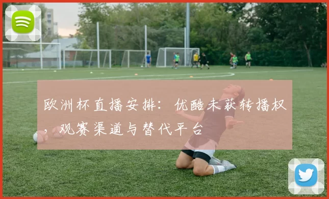 欧洲杯直播安排:优酷未获转播权,观赛渠道与替代平台