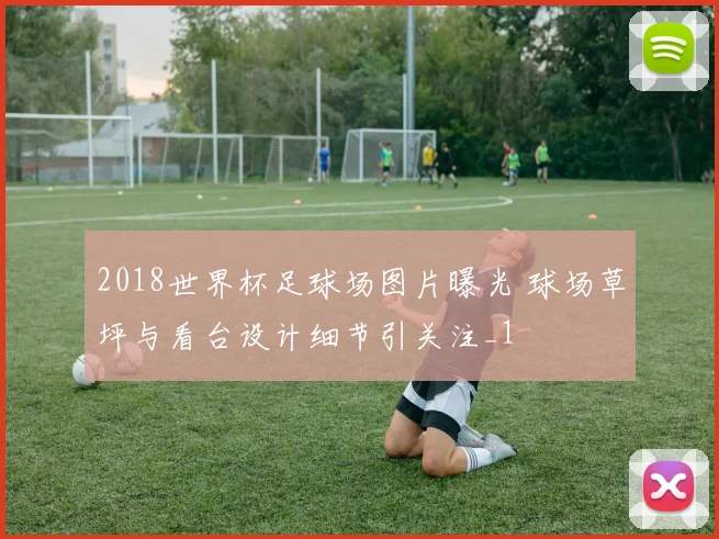 2018世界杯足球场图片曝光 球场草坪与看台设计细节引关注_1