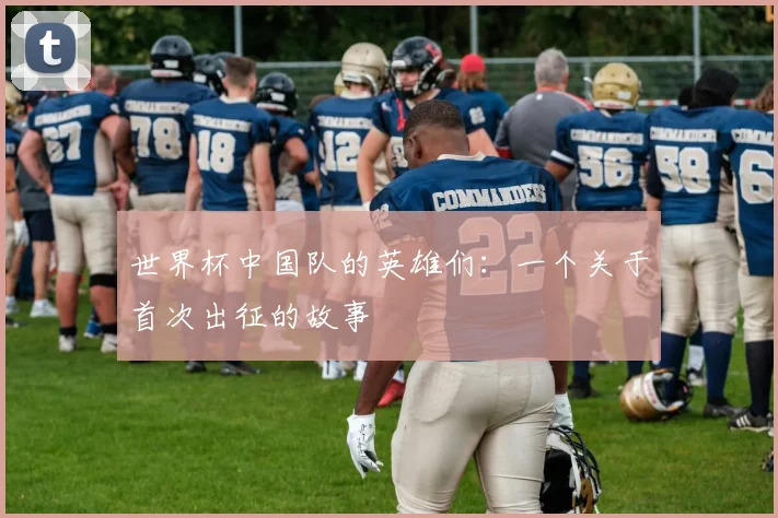 世界杯中国队的英雄们：一个关于首次出征的故事