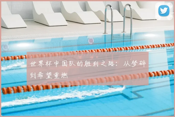 世界杯中国队的胜利之路:从梦碎到希望重燃